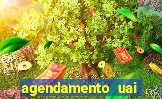 agendamento uai patos de minas